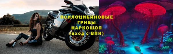 молекула духа Аркадак