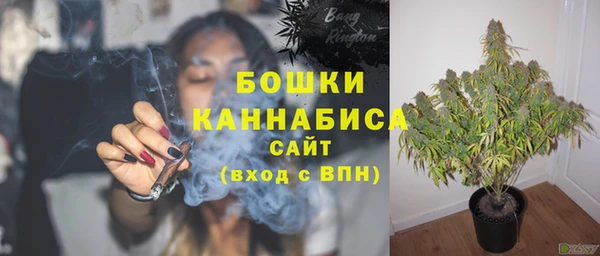 spice Арсеньев