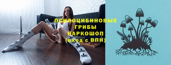 spice Арсеньев