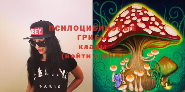 хмурый Балахна